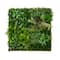 38" Framed Madagascar Forest Artificial Living Wall Art Panel